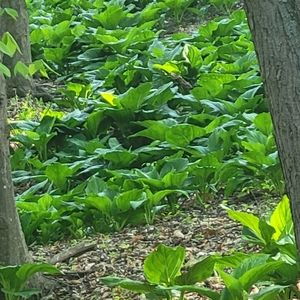 Meet your Posher, Natalia